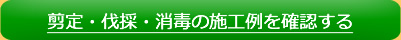 選定・伐採・消毒の施工例を確認する