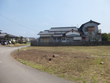 伐採、抜根後